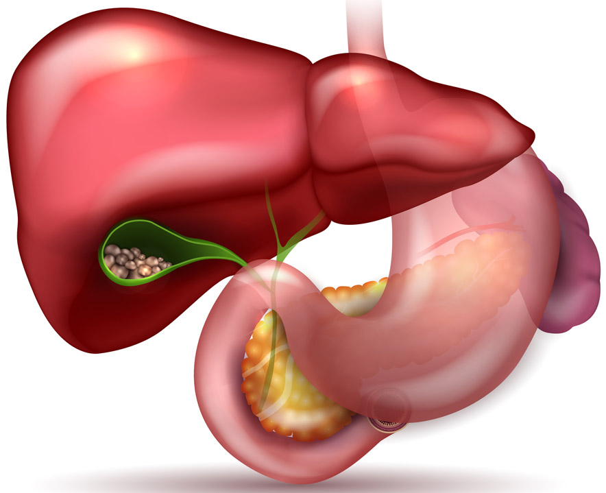 Homeopathic solutions for Liver Treatment
